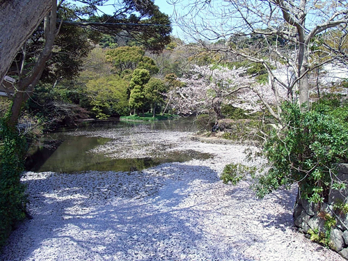 a0068306_234266.jpg