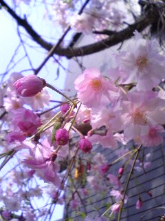 c0122007_21404293.jpg