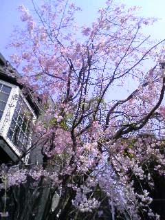 c0122007_21441592.jpg