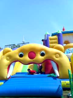 a0065309_1656952.jpg