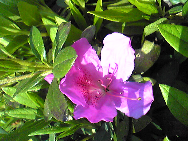 c0111310_2257462.jpg