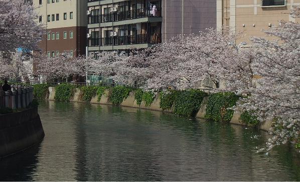 e0077910_2342565.jpg
