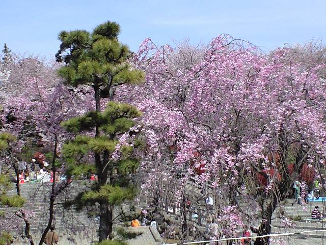a0026611_113757.jpg