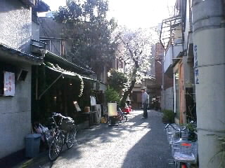 b0021311_22125315.jpg
