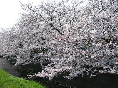e0019117_2304240.jpg