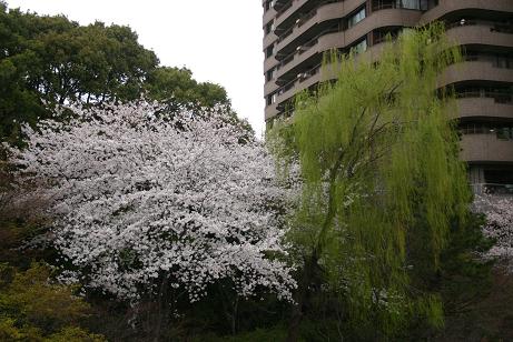 c0127218_1824427.jpg