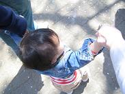 d0129021_14524691.jpg