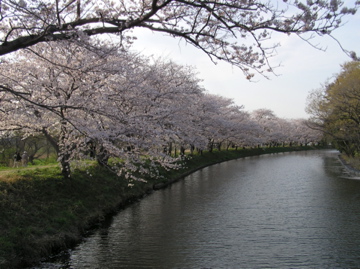 f0128723_15113910.jpg