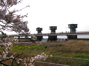 f0128723_15654.jpg