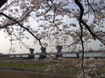 f0128723_1582420.jpg