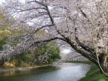 f0128723_1593822.jpg