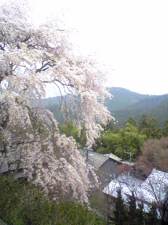 d0060326_17131577.jpg
