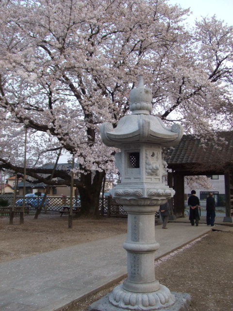 c0110930_13242.jpg