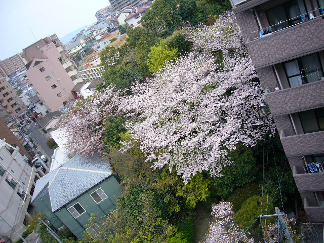 e0133535_7182589.jpg
