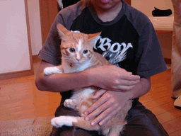 c0136736_21373341.gif