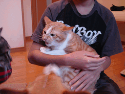 c0136736_2139275.gif