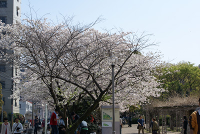 c0132438_20571237.jpg