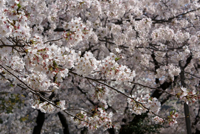c0132438_20581718.jpg