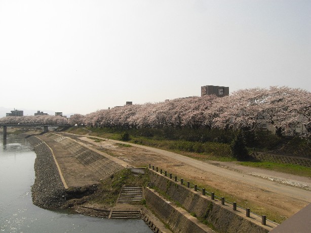 c0144638_23414312.jpg