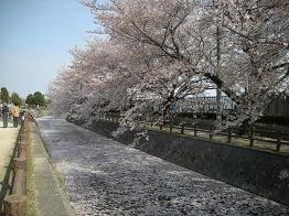 b0024439_22562350.jpg