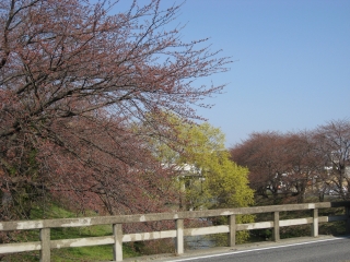 d0067640_20454369.jpg