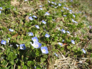 d0067640_20461036.jpg