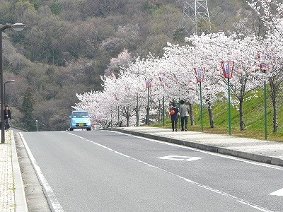 f0148244_167141.jpg