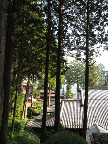 e0040345_13182729.jpg