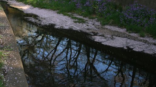 e0082045_14342739.jpg