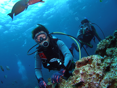 d0065247_22561278.jpg