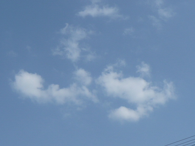 f0099147_183028.jpg