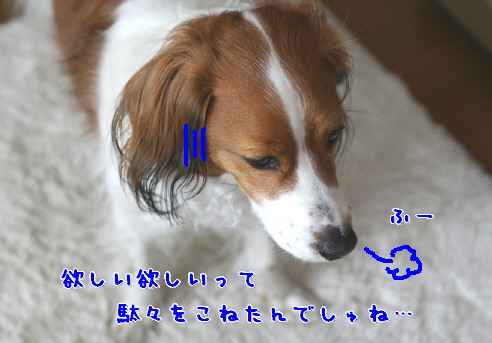 d0013149_16547.jpg