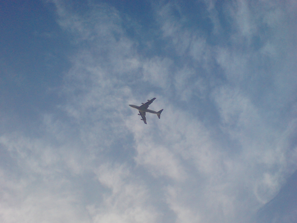 e0050449_21252392.jpg