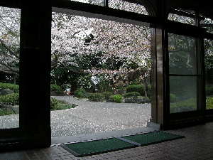 a0003150_235741.jpg