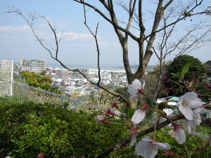 a0003150_2364787.jpg