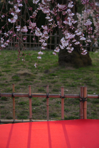 a0024250_2214178.jpg