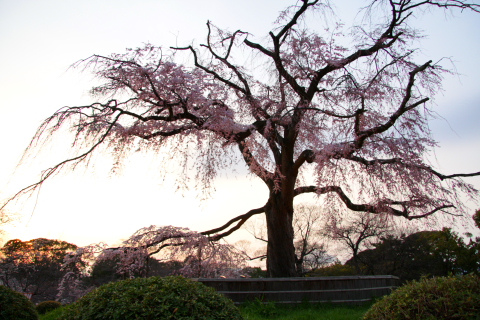 a0024250_2219492.jpg