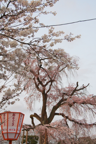 a0024250_22201149.jpg