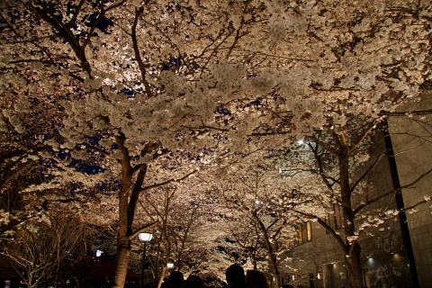 a0024250_225938.jpg