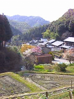 c0069552_10222649.jpg