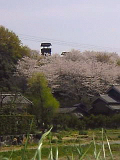 c0069552_10222656.jpg
