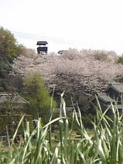 c0069552_7322358.jpg