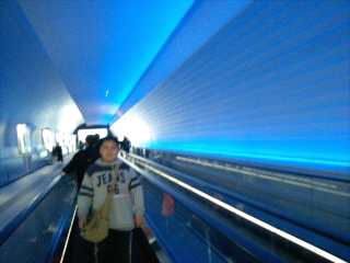 a0031155_19582438.jpg