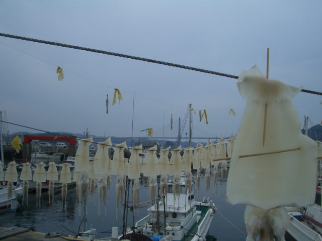 b0002156_12165644.jpg
