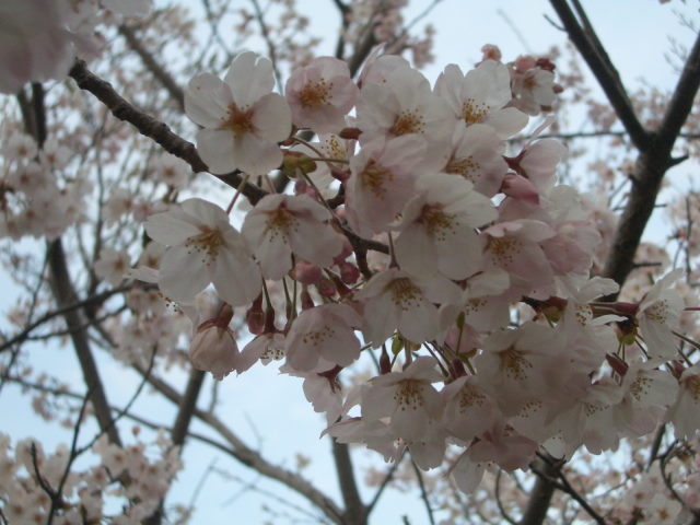 b0002156_1222470.jpg