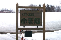 c0097856_0174129.jpg