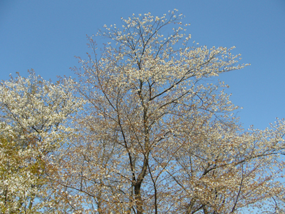 b0045357_13502552.jpg