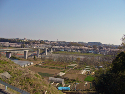 b0045357_13522294.jpg