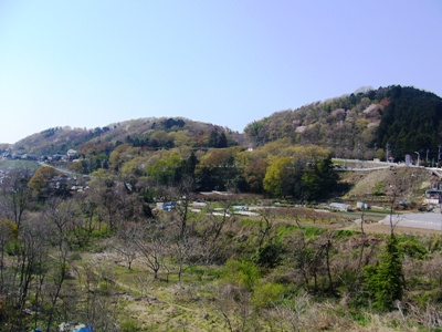 b0045357_141043.jpg