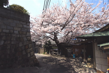 e0014058_18132112.jpg
